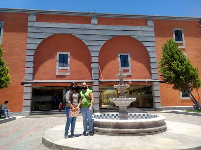 imagen1