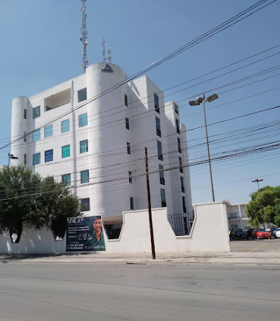 imagen1