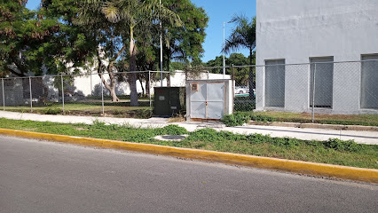 imagen1