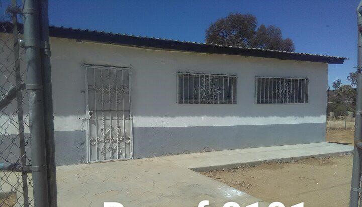 imagen3