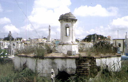 imagen1