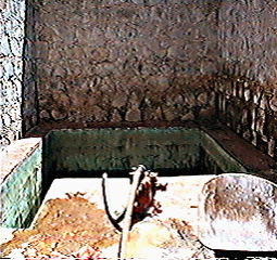 imagen0