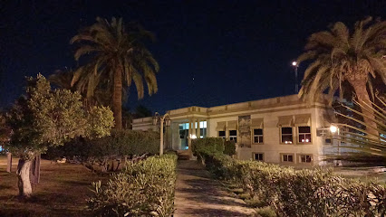 imagen1