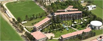 imagen1