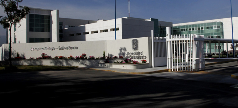 imagen1