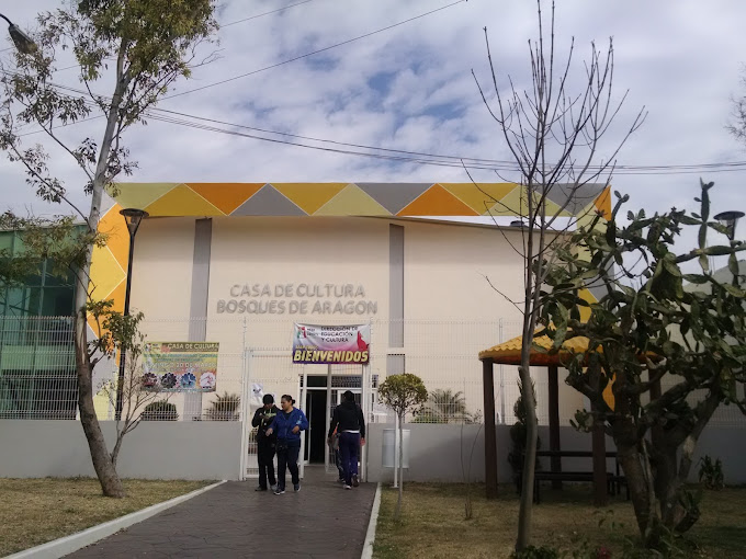 imagen3