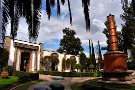 imagen1