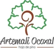 imagen3