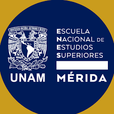 imagen0