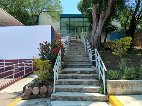 imagen0