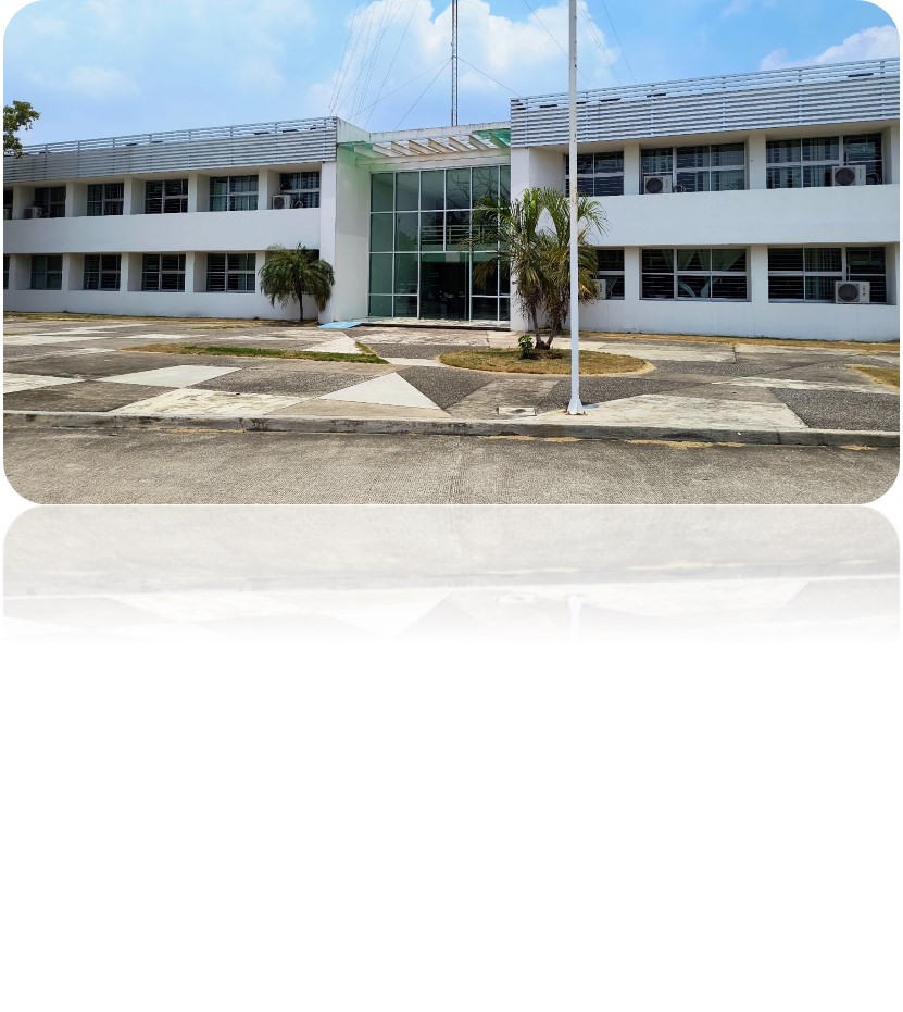 imagen1