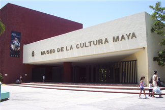 imagen1