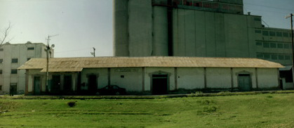 imagen3