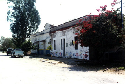 imagen1