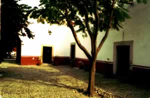 imagen0