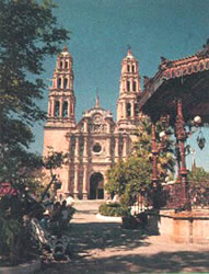 imagen1