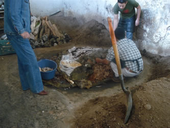 imagen2