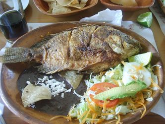 imagen2
