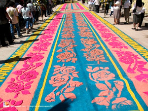 imagen0
