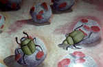 imagen0