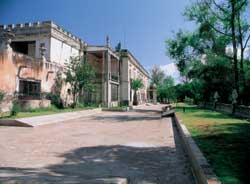 imagen1