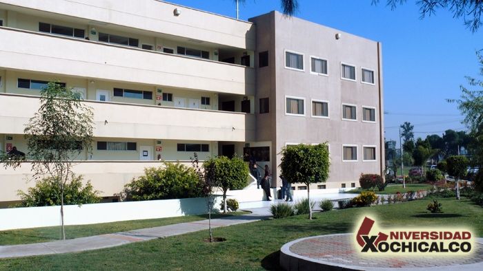 imagen1