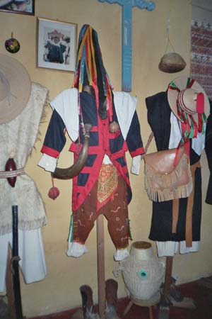 imagen1