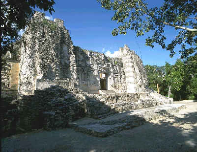 imagen2