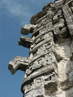imagen2
