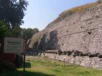 imagen1