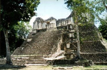 imagen1