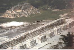 imagen3
