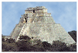 imagen0