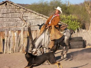imagen1