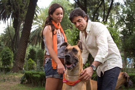 imagen1
