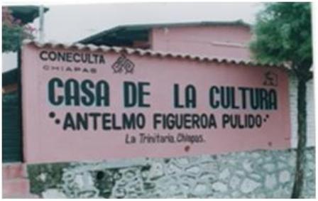 imagen3