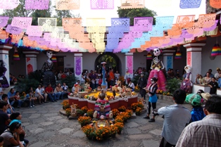 imagen1