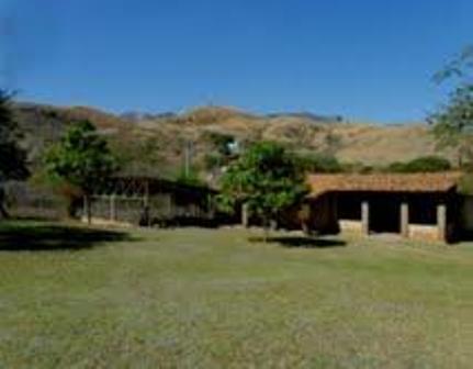 imagen3