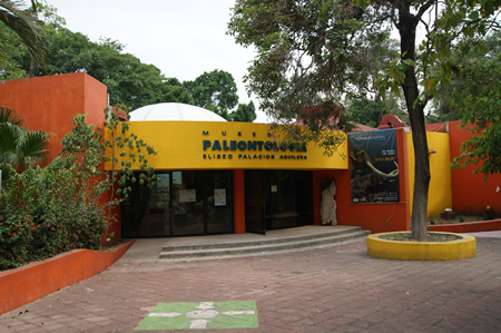 imagen3