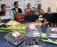 imagen0