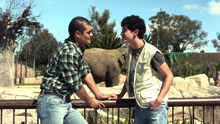 imagen3