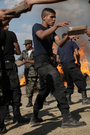 imagen3