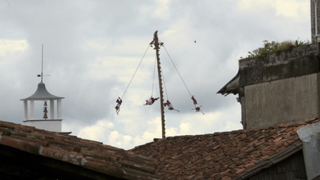 imagen1