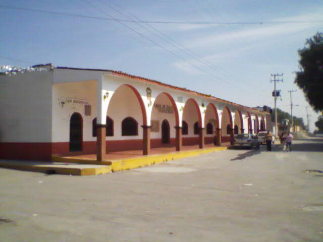imagen1