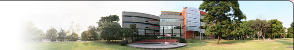 imagen1