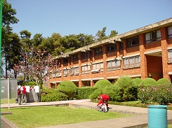 imagen0