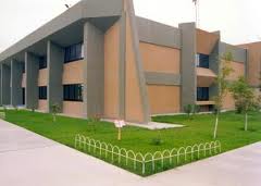 imagen1