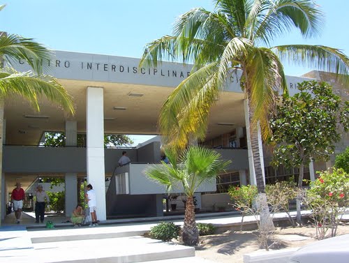 imagen1