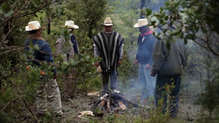 imagen3