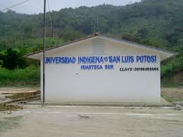 imagen1